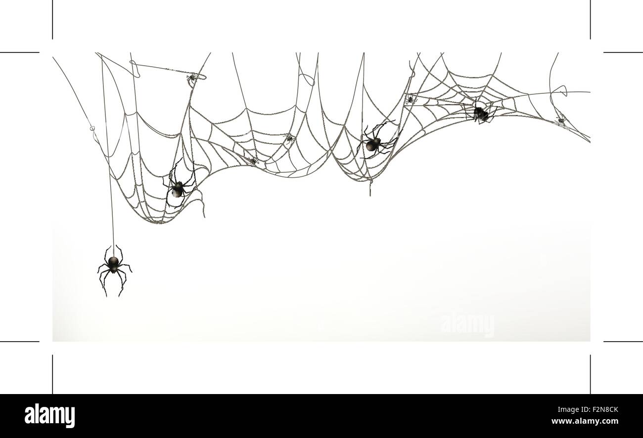 Spiders and spider web, vector set Stock Vector
