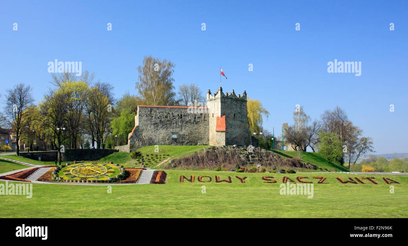 Royal castle ruins. Kowalska Tower castle ruins from the 14th century
