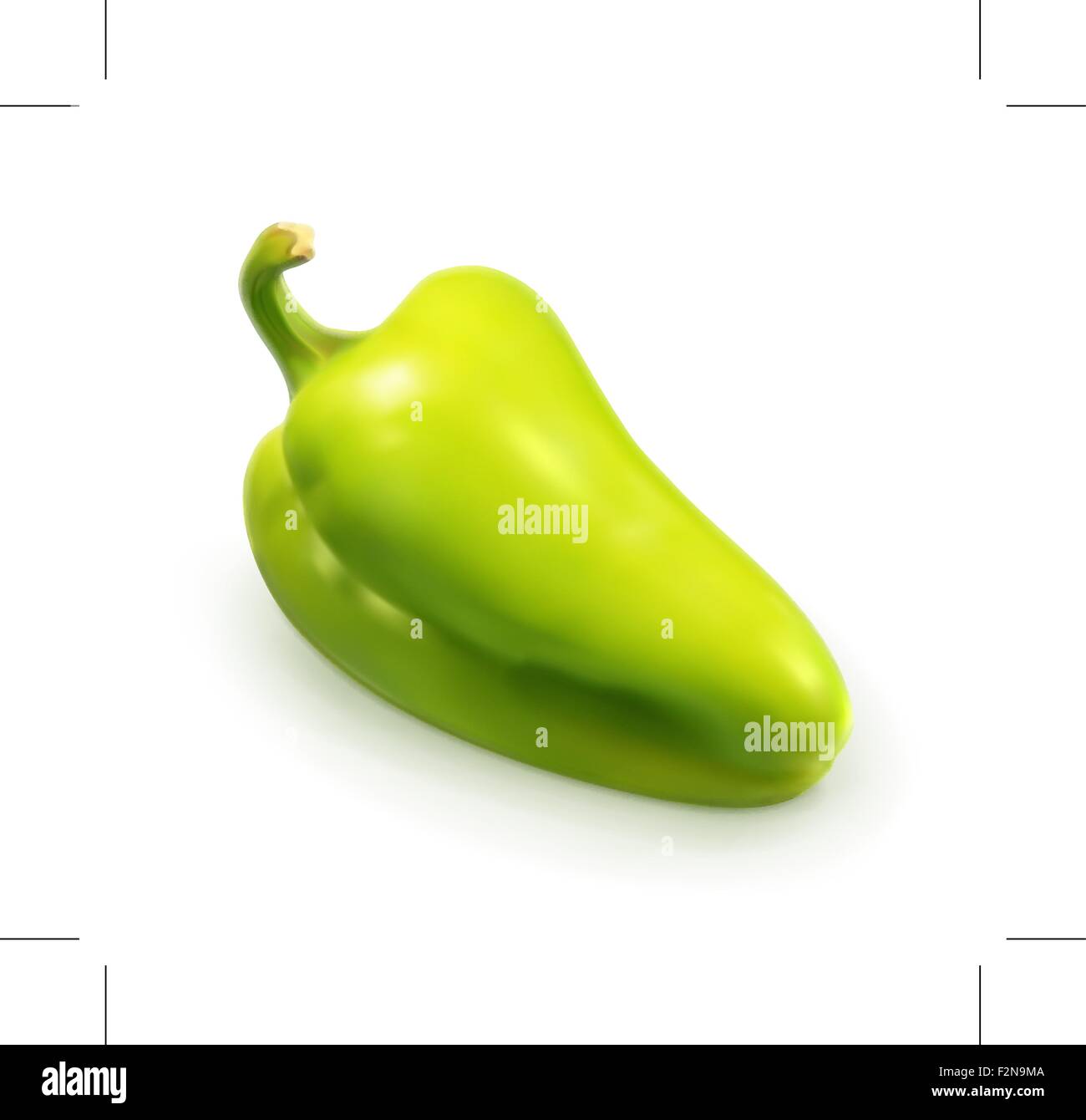 Green pepper, vector illustration Stock Vector