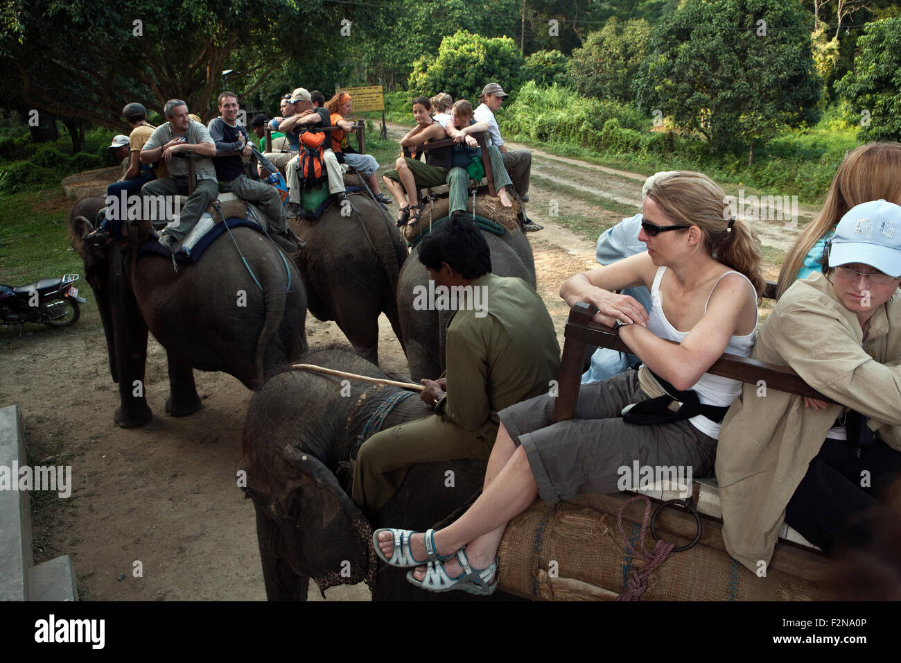 Elephant rides are one of Chitwan's major attractions in Royal Chitwan National Park Nepal Stock Photo