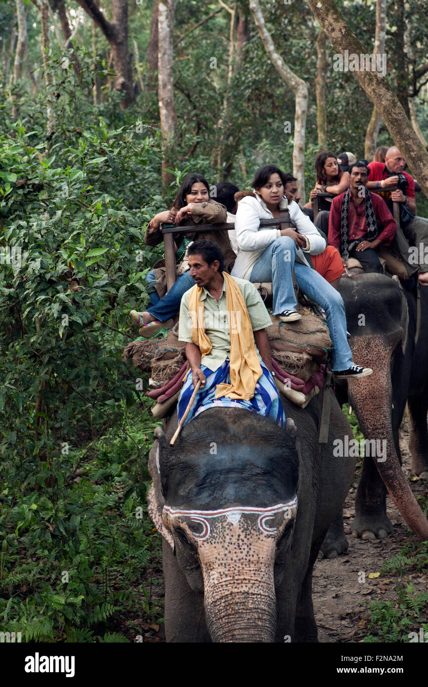 Elephant rides are one of Chitwan's major attractions in Royal Chitwan