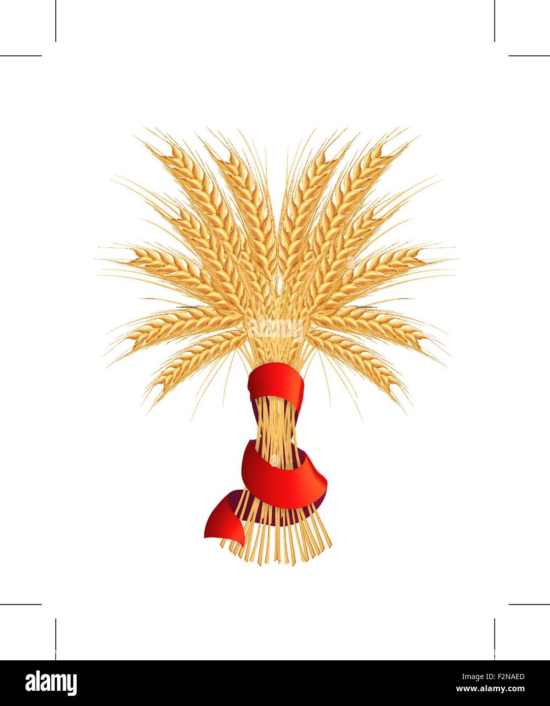 Sheaf of wheat, vector Stock Vector Image & Art Alamy