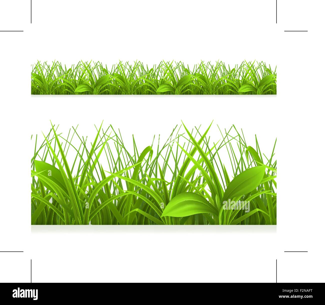 Spring green grass, seamless border. Detailed vector illustration Stock ...