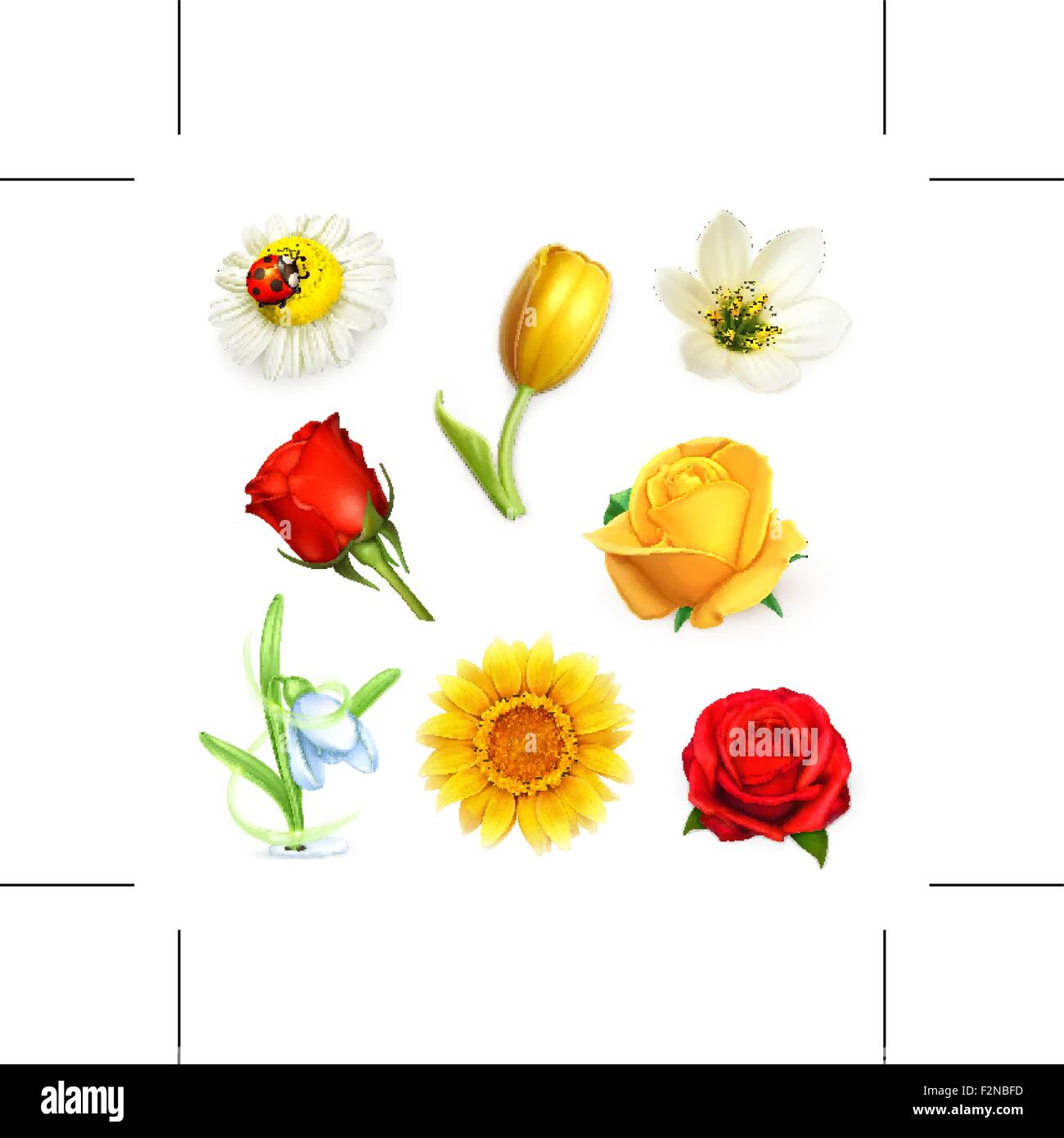 Flowers, set vector Stock Vector Image & Art - Alamy