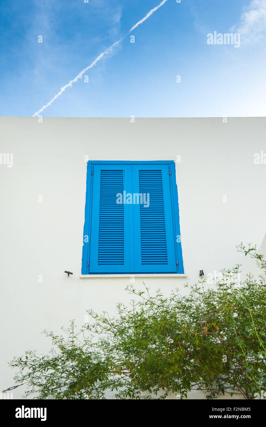 Blue shutter window on wall with green plant and sky with contrail Stock Photo