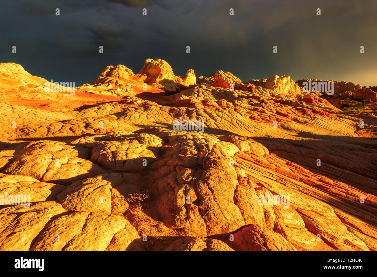 Plateau from white and red sandstone, White Pocket at golden sunset. Stock Photo