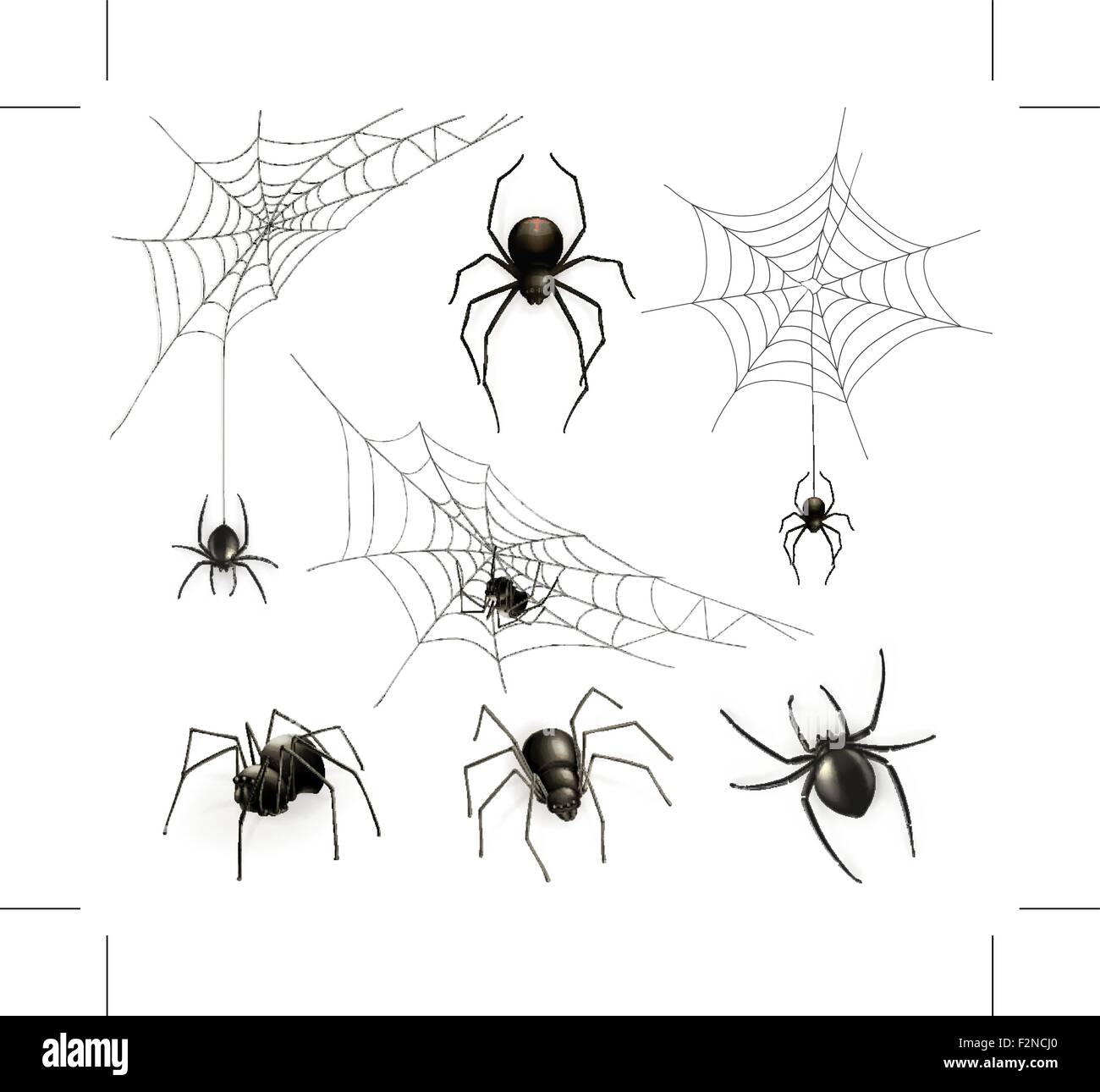 Spiders and spider web, vector set Stock Vector