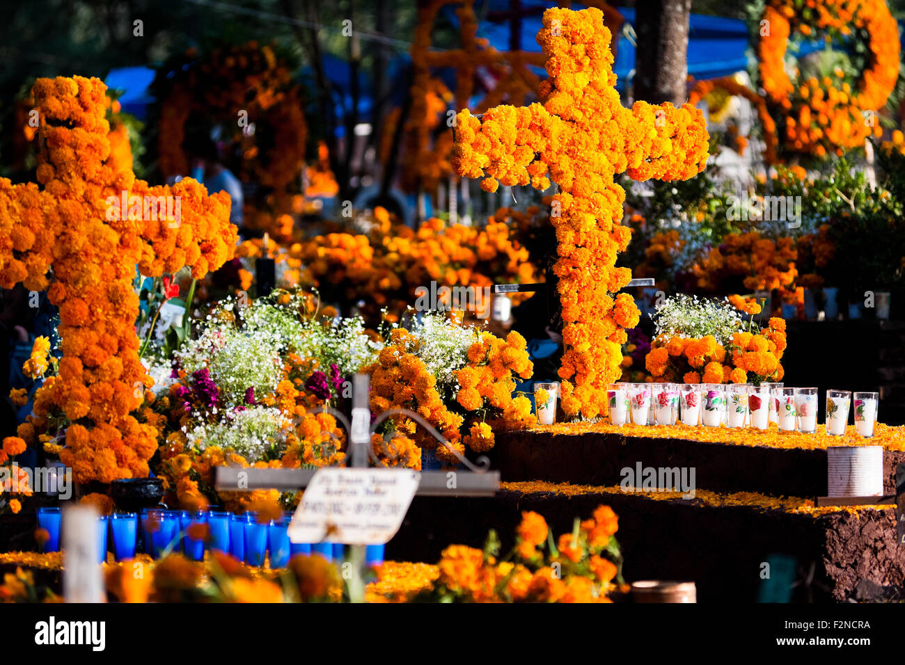 Decorated graves, covered by cempasúchil flowers, are seen during the
