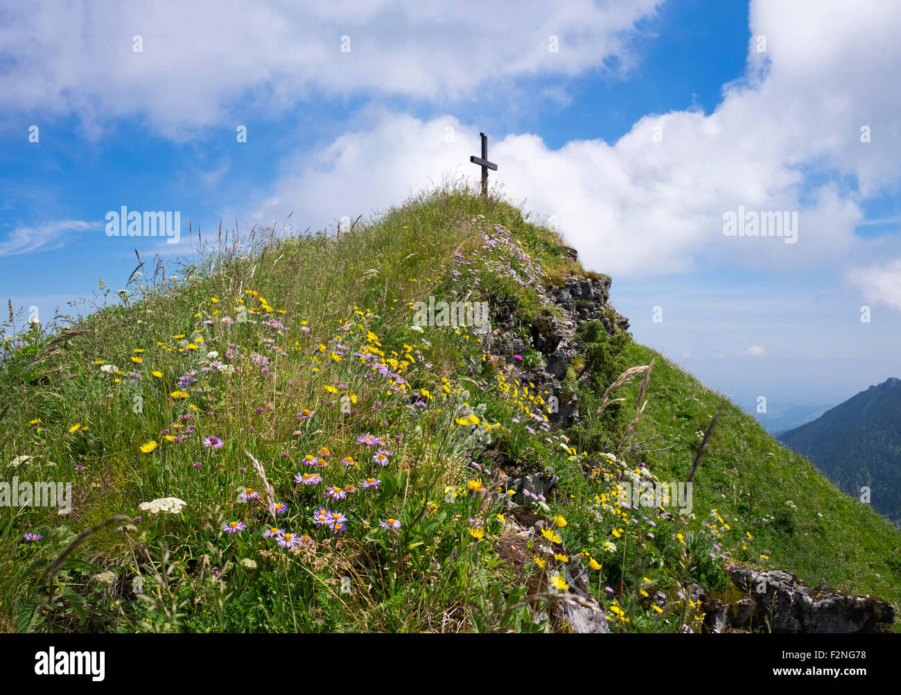 Summit cross and mountain flowers on Hochgern, Unterwössen, Chiemgau Alps, Upper Bavaria, Bavaria, Germany Stock Photo