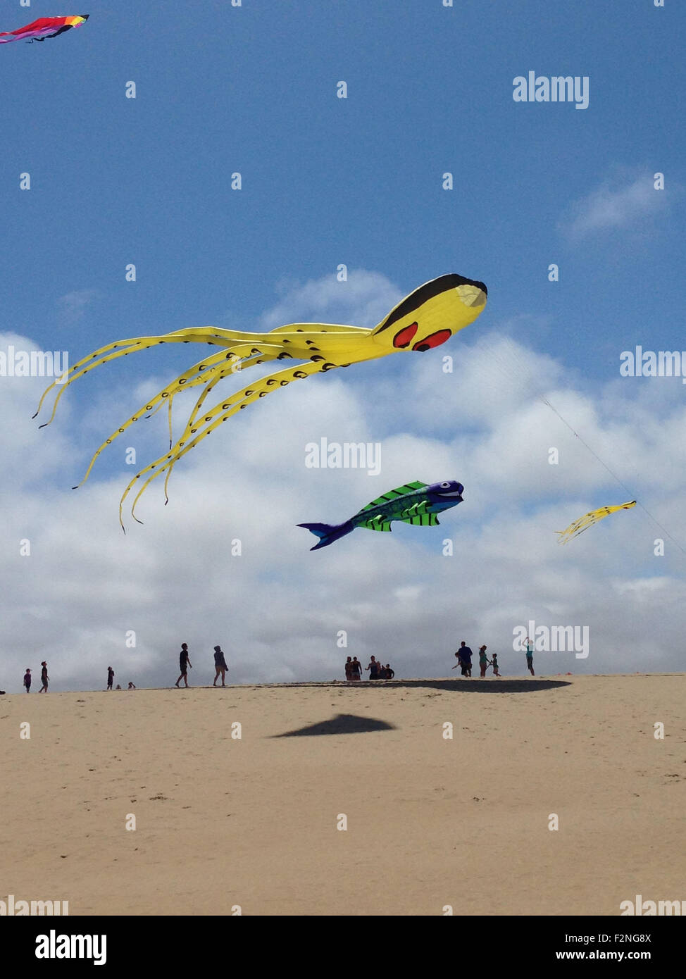 Kites flying over beach - Smartphone Captured Stock Image