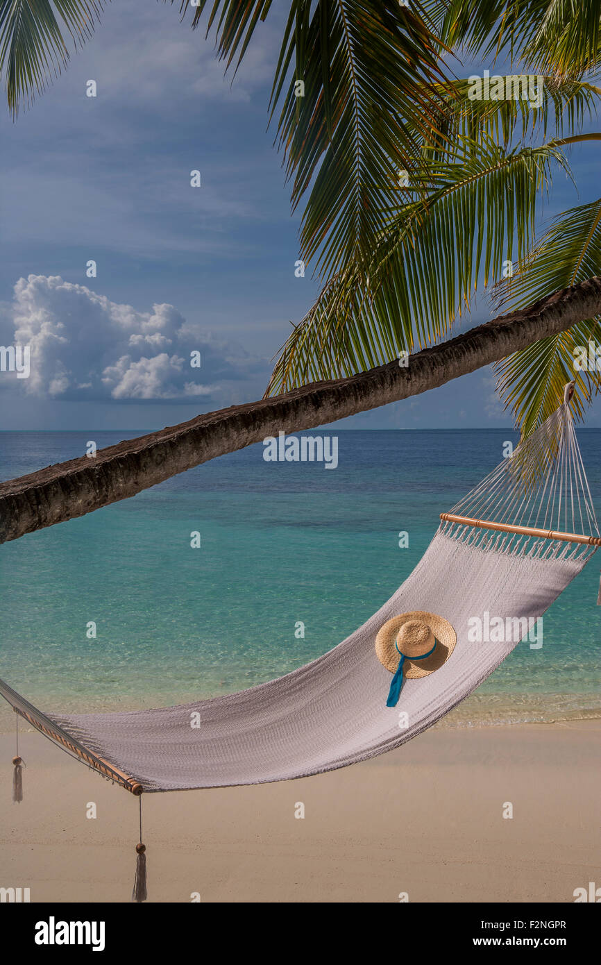 palm-tree-hammock-beach-scene-hi-res-stock-photography-and-images-alamy