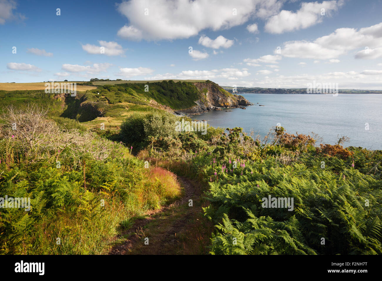 View from Black Head towards St Austell. Cornwall. UK. Stock Photo