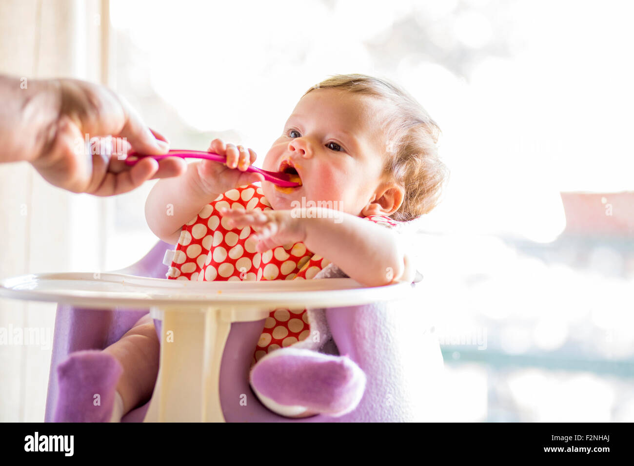 Caucasian baby girl eating from spoon in high chair Stock Photo