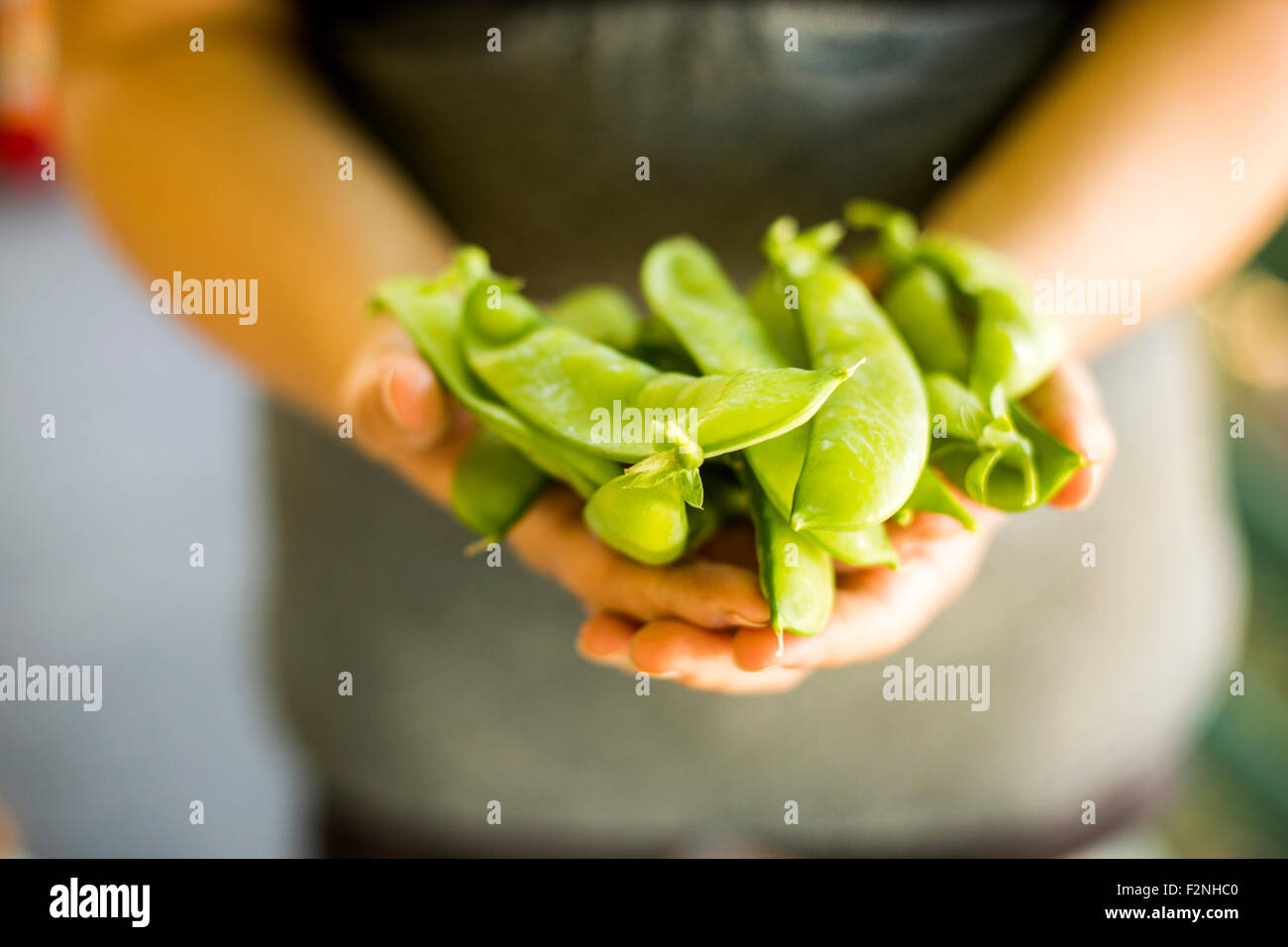 Caucasian woman holding fresh snap peas Stock Photo