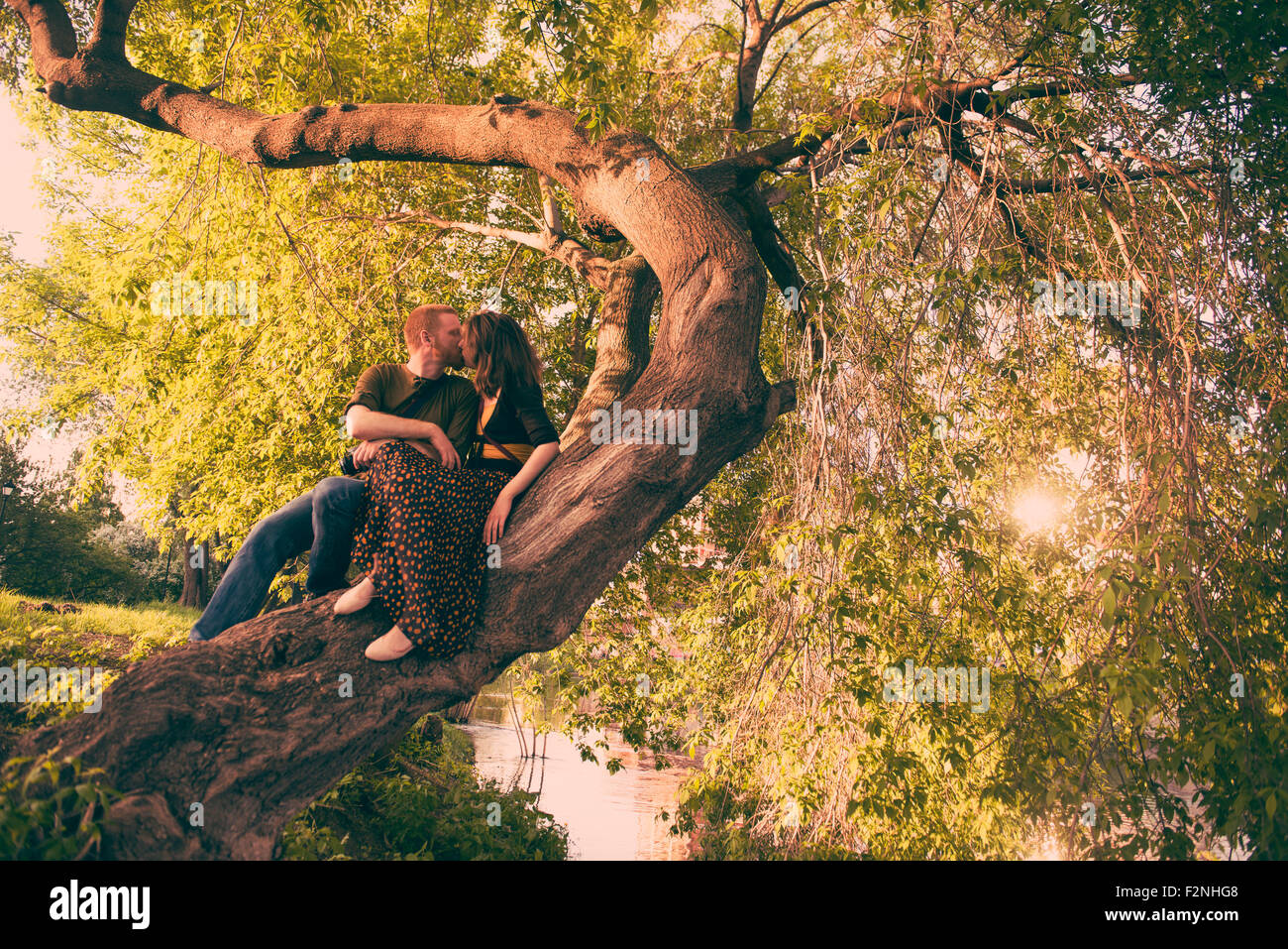 Caucasian couple kissing in tree Stock Photo