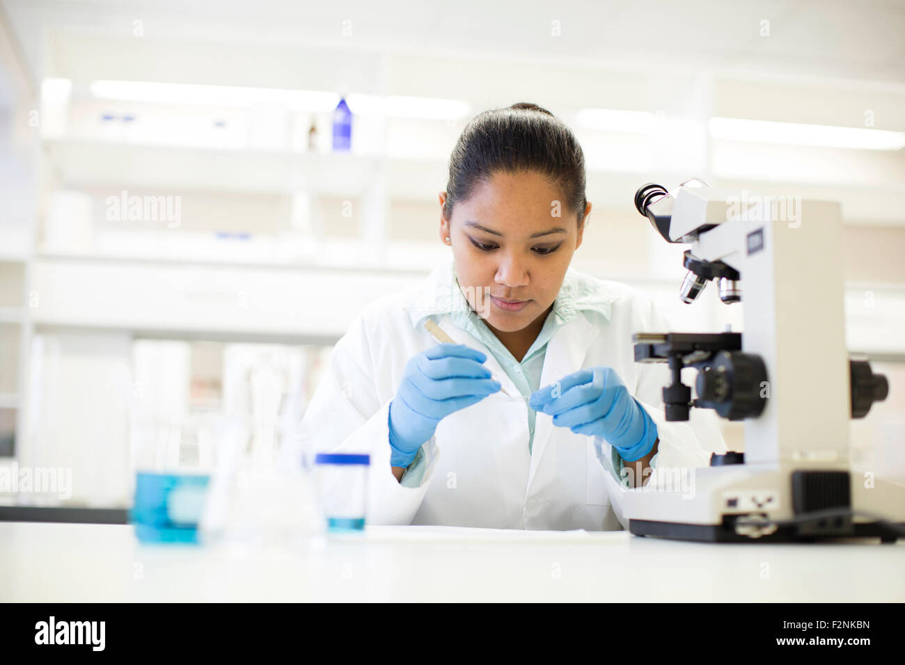 Mixed race scientist working in laboratory Stock Photo