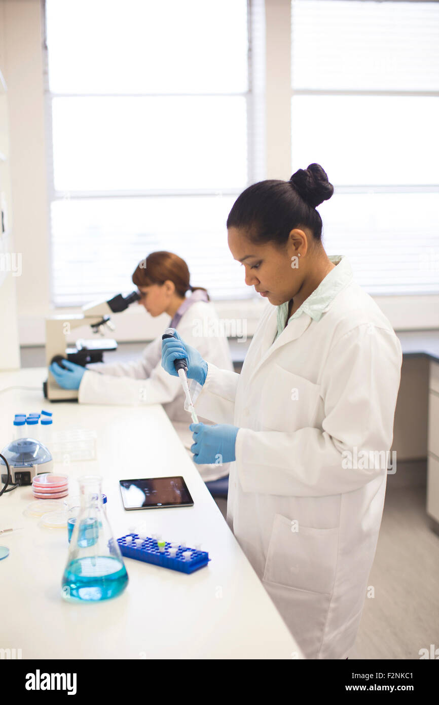 Mixed race scientists working in laboratory Stock Photo