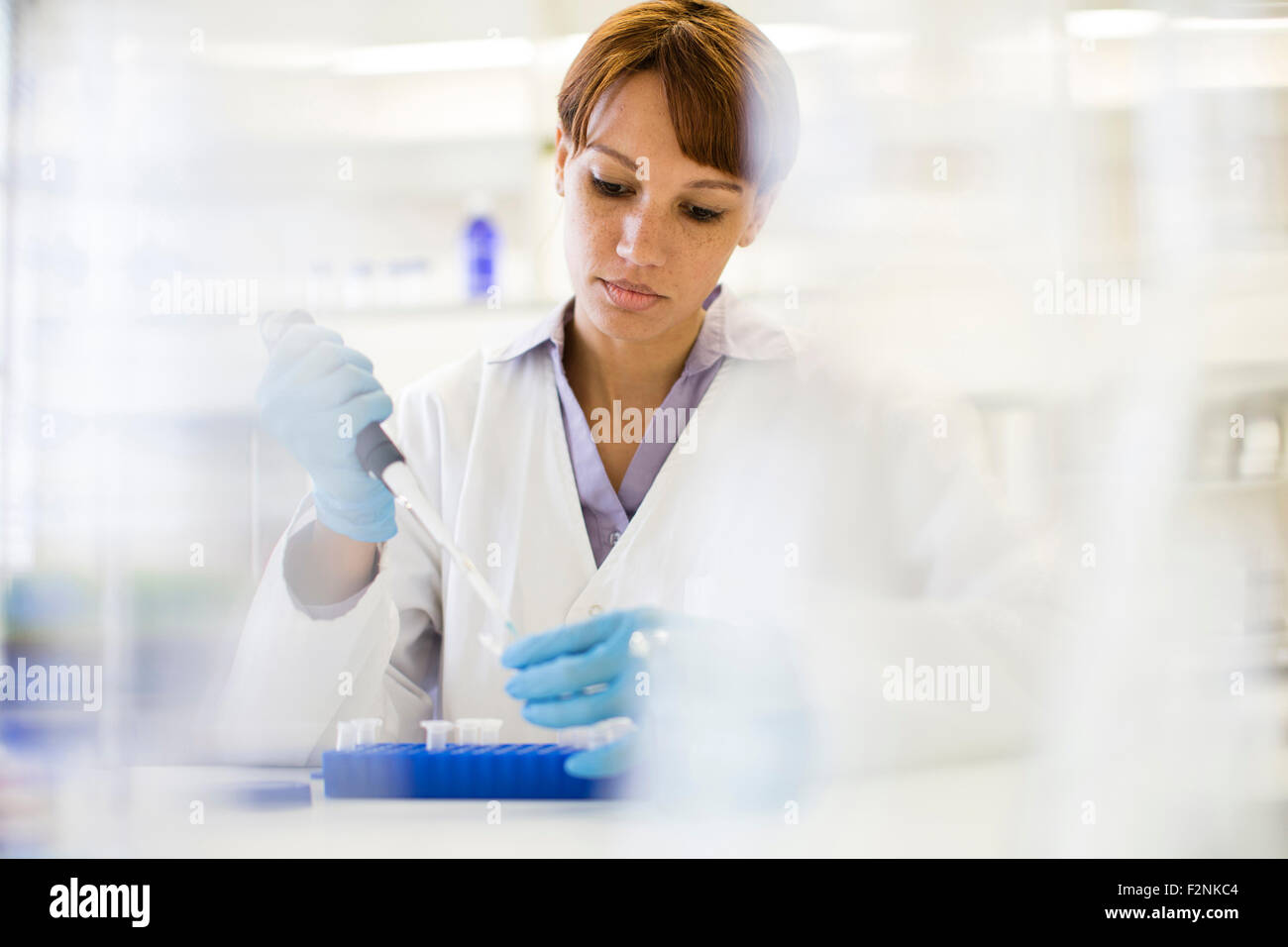 Mixed race scientist pipetting sample into tube in laboratory Stock Photo