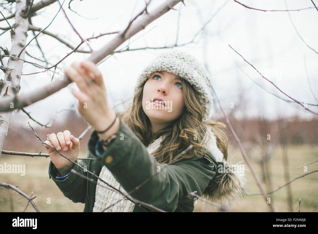 Caucasian woman examining tree branches Stock Photo