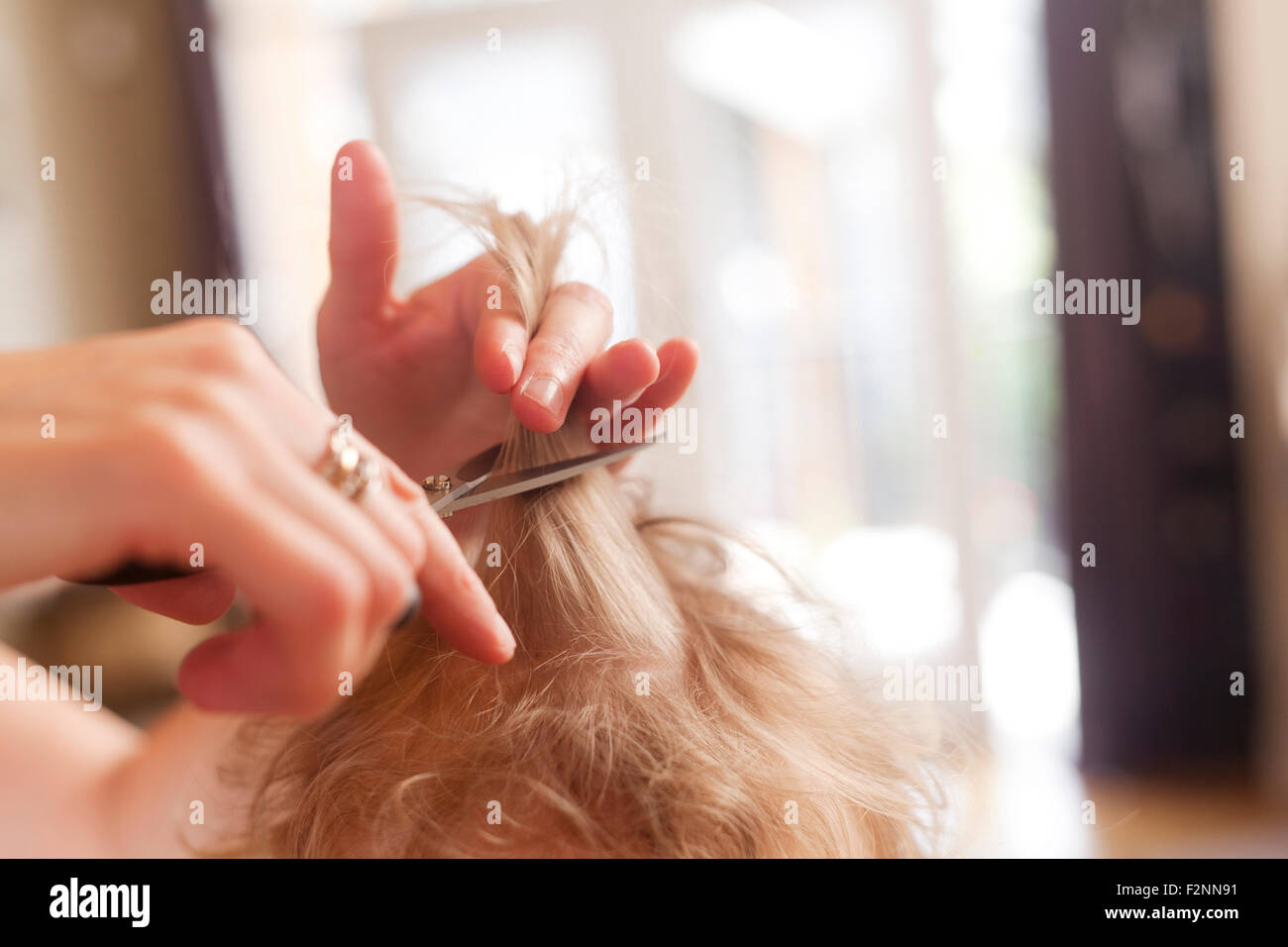 Caucasian mother cutting hair of son Stock Photo