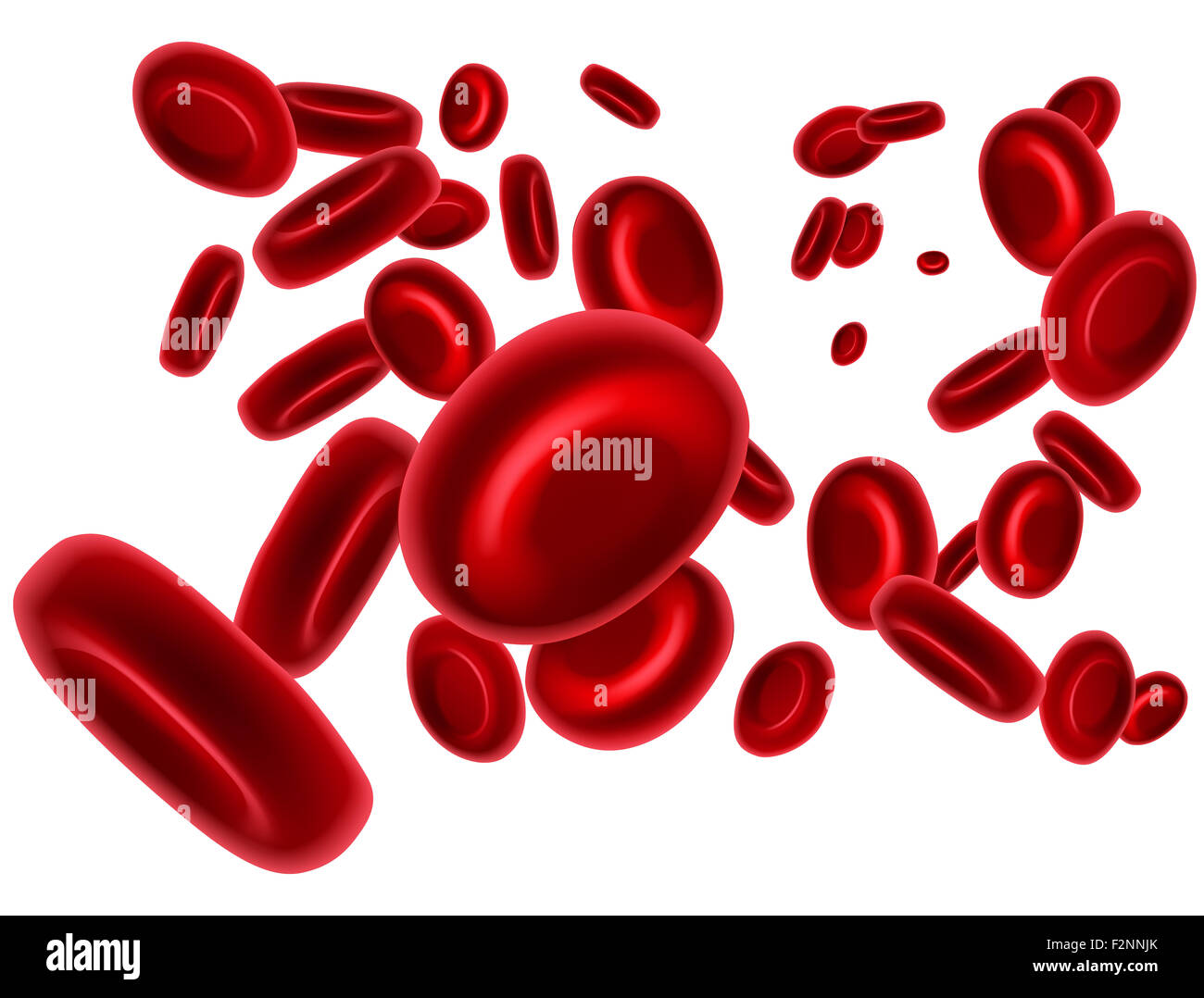 Red blood cells flowing in a vein or artery Stock Photo