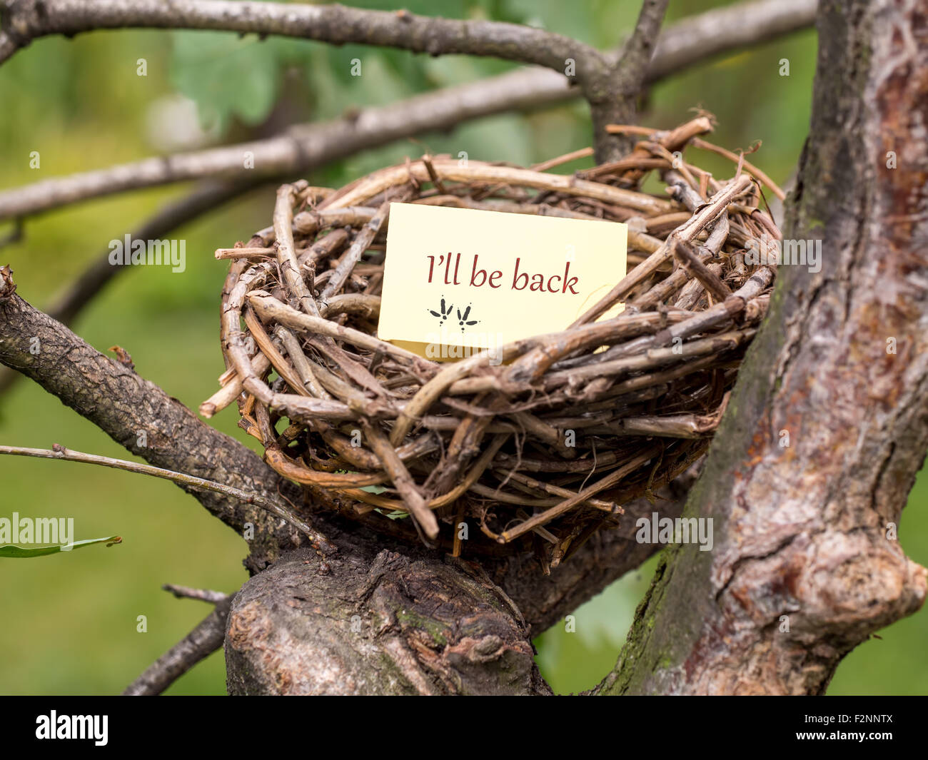 Bird's nest with I'll be back notice card Stock Photo