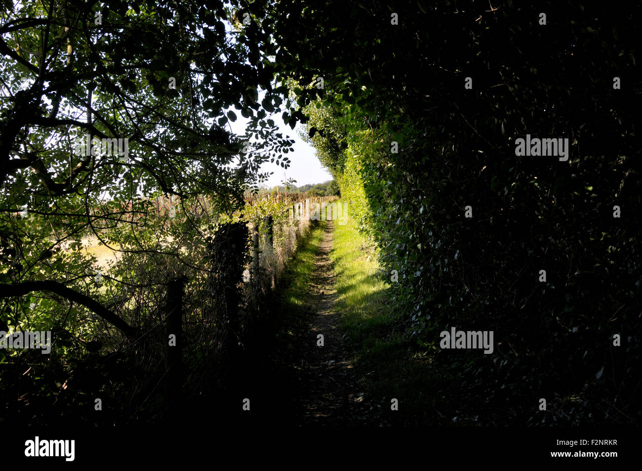 Boughton Monchelsea village, Maidstone, Kent, UK. Public footpath