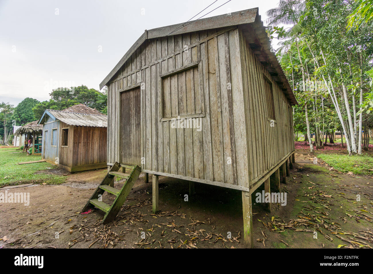 Woode houses built on high stilts, Amazon rainforest Stock Photo Alamy