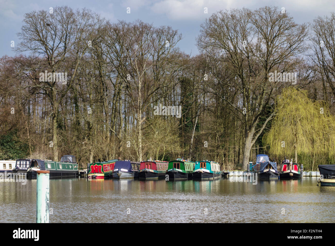 Pyrford Marina, Wisley, Surrey, uk Stock Photo Alamy