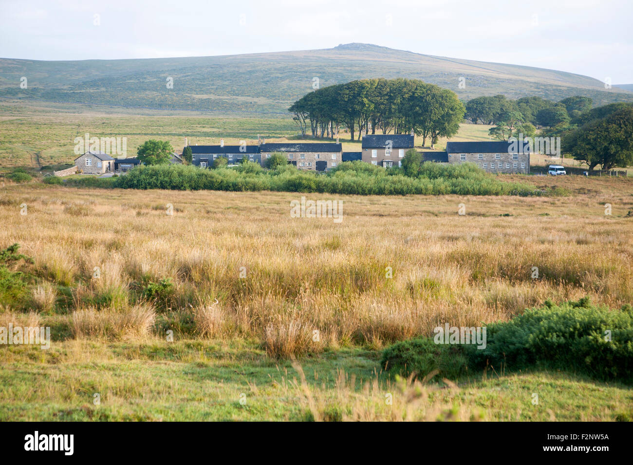 Row former miners terraced houses on moorland, Dartmoor national park