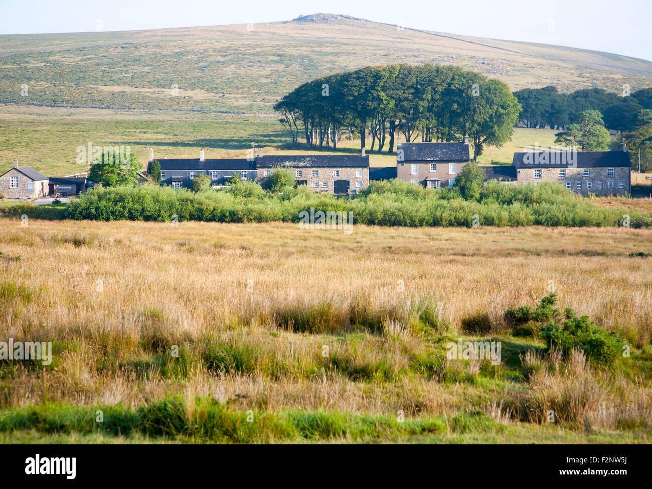 Row former miners terraced houses on moorland, Dartmoor national park