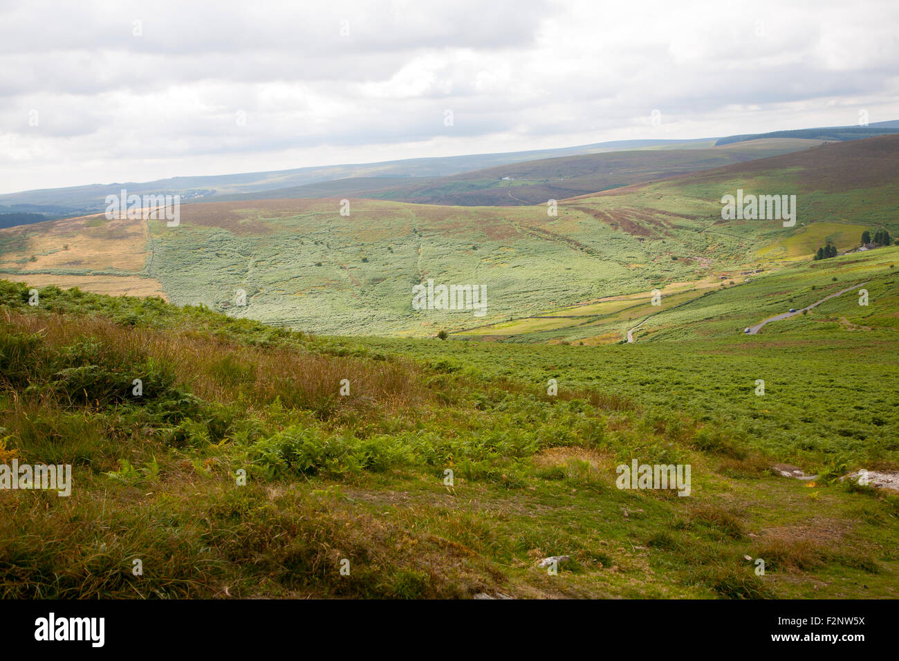 Moorland landscape, Dartmoor national park, near Postbridge, Devon, England, UK Stock Photo