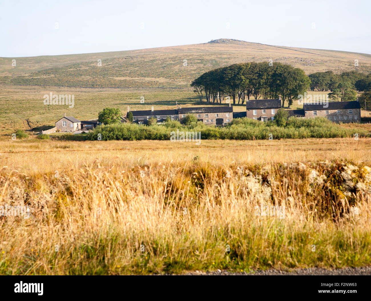 Row former miners terraced houses on moorland, Dartmoor national park