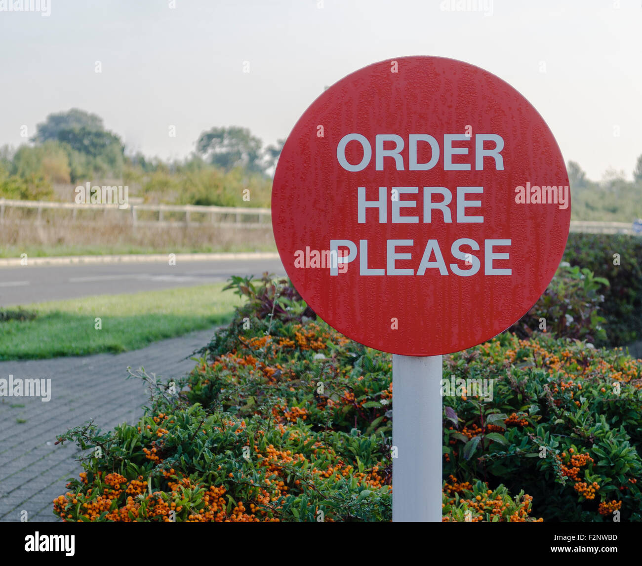 Ordering food in a restaurant. Restaurant тема vocabulary. Мемы про руководство. At the restaurant задания. At the restaurant conversation.