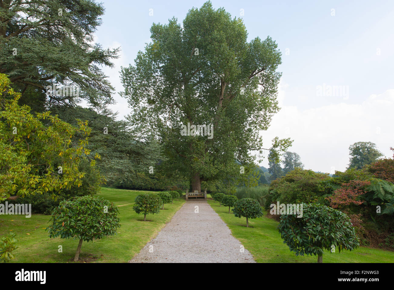 Tyntesfield House grounds near Bristol North Somerset England UK a