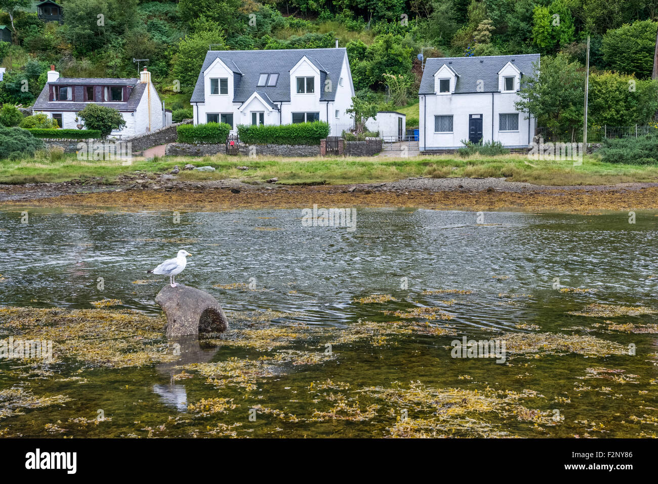 Lochranza, Isle of Arran Stock Photo Alamy