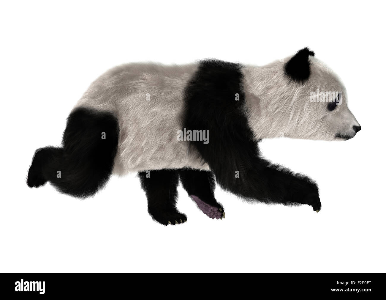 3D digital render of a panda bear cub running isolated on white