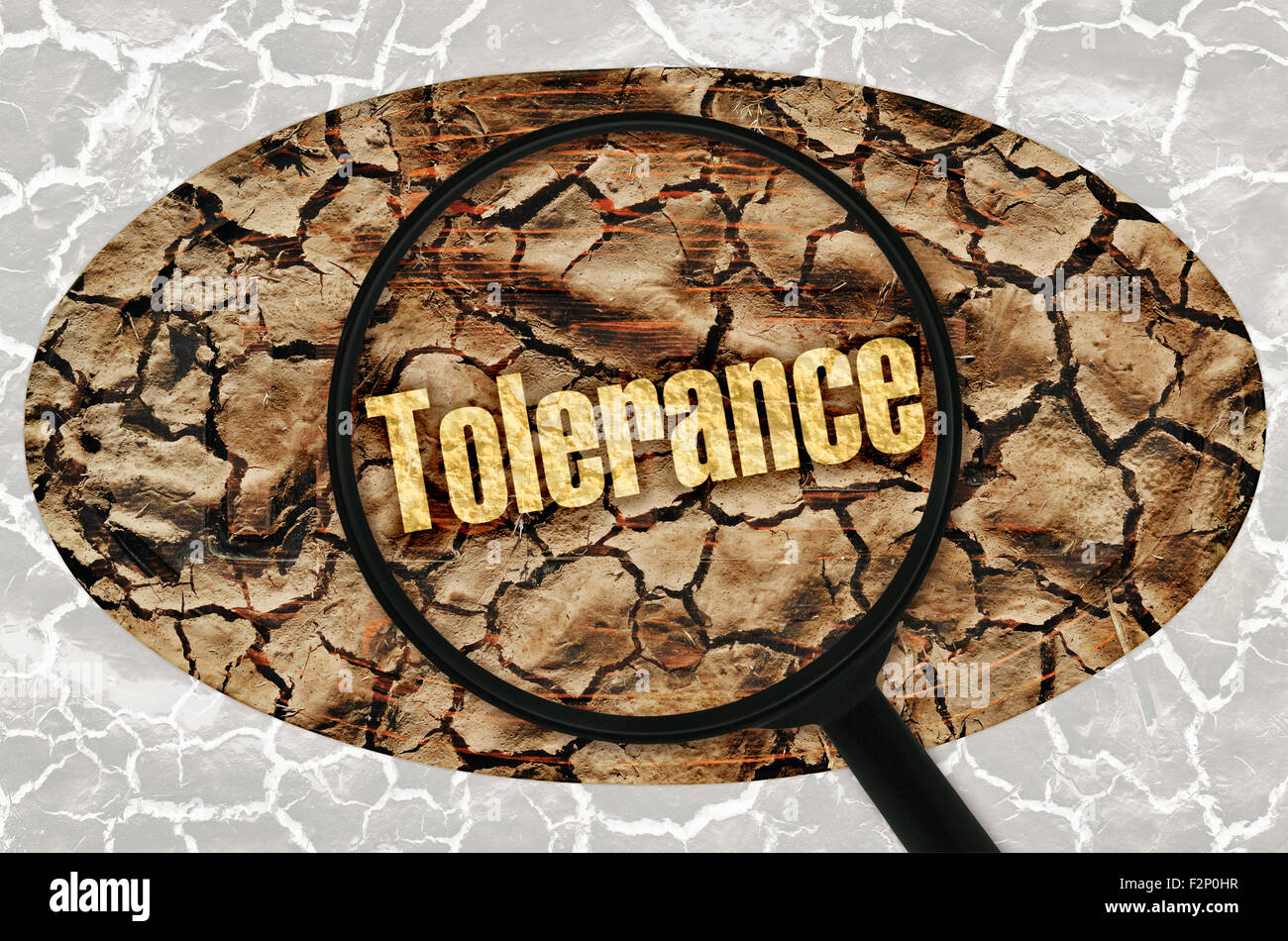 Word Tolerance under a magnifier on abstract background Stock Photo