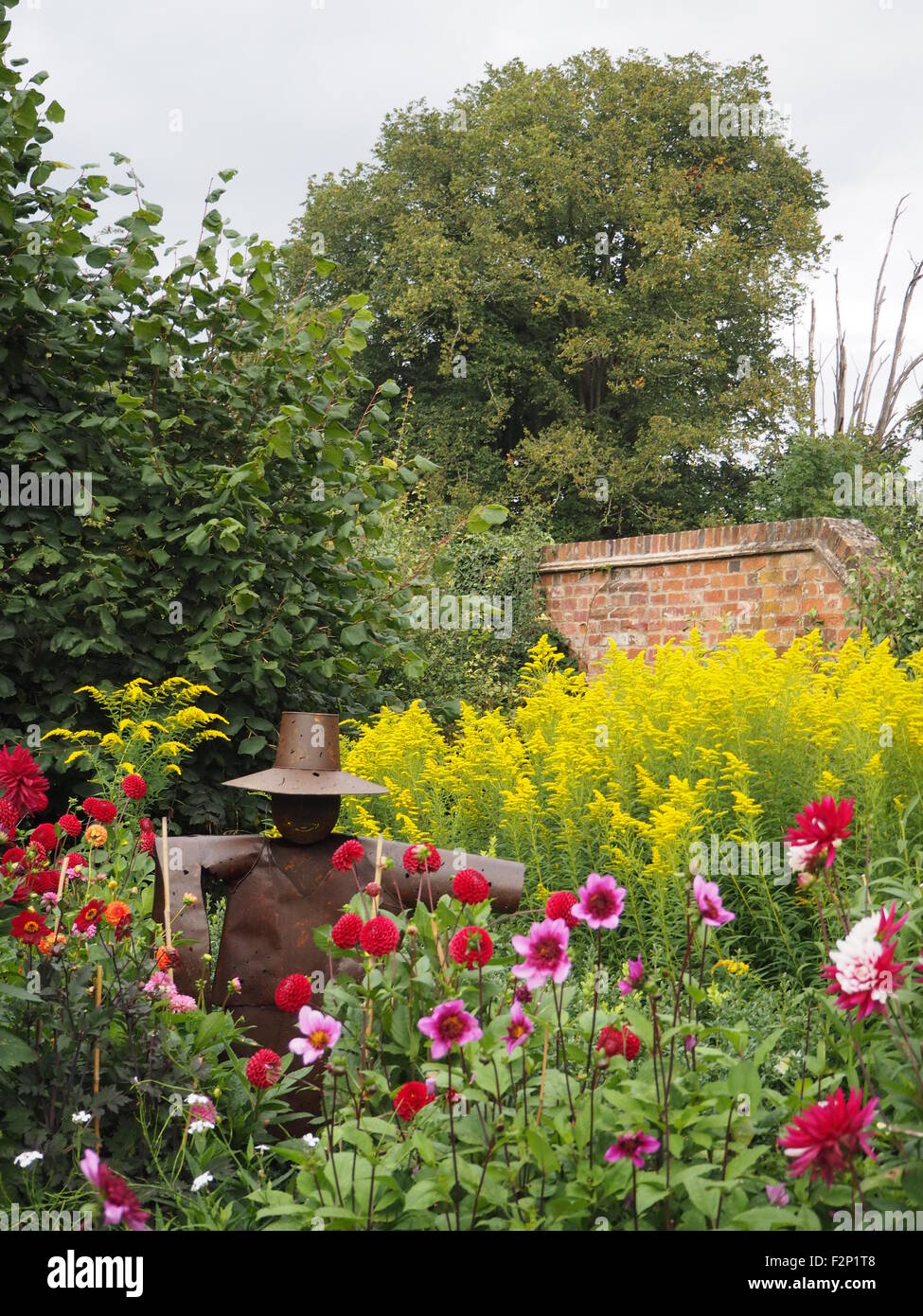 Chenies Manor Kitchen garden with dahlias, golden rod and tin man scarecrow sculpture in late summer. Colourful blooms by a wall Stock Photo