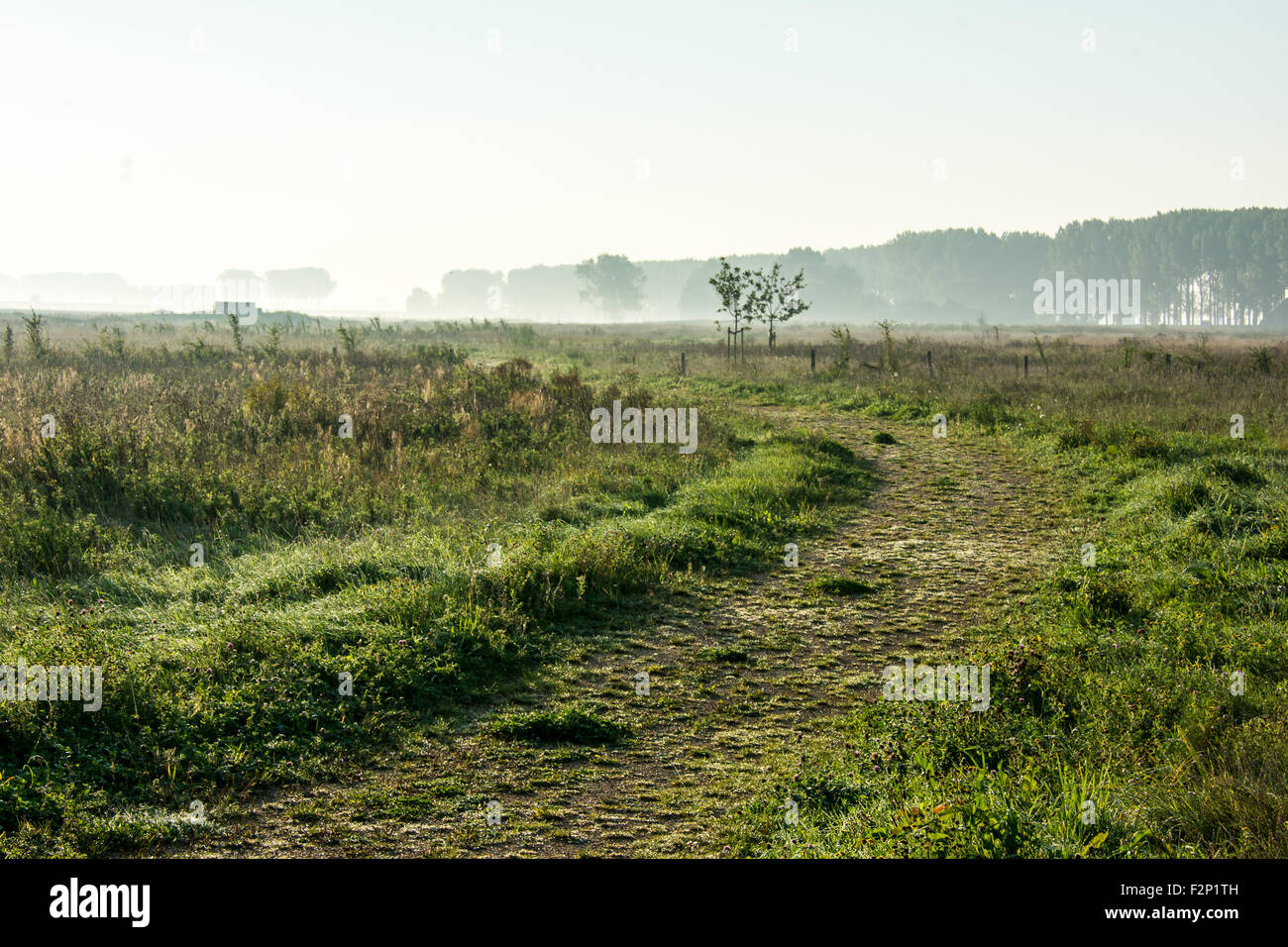 Rural light and fog hi-res stock photography and images - Alamy