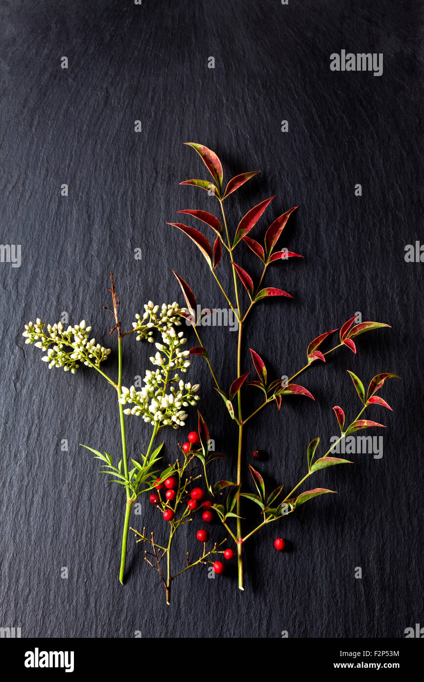 Blossoms, fruits and leaves of heavenly bamboo on slate Stock Photo Alamy
