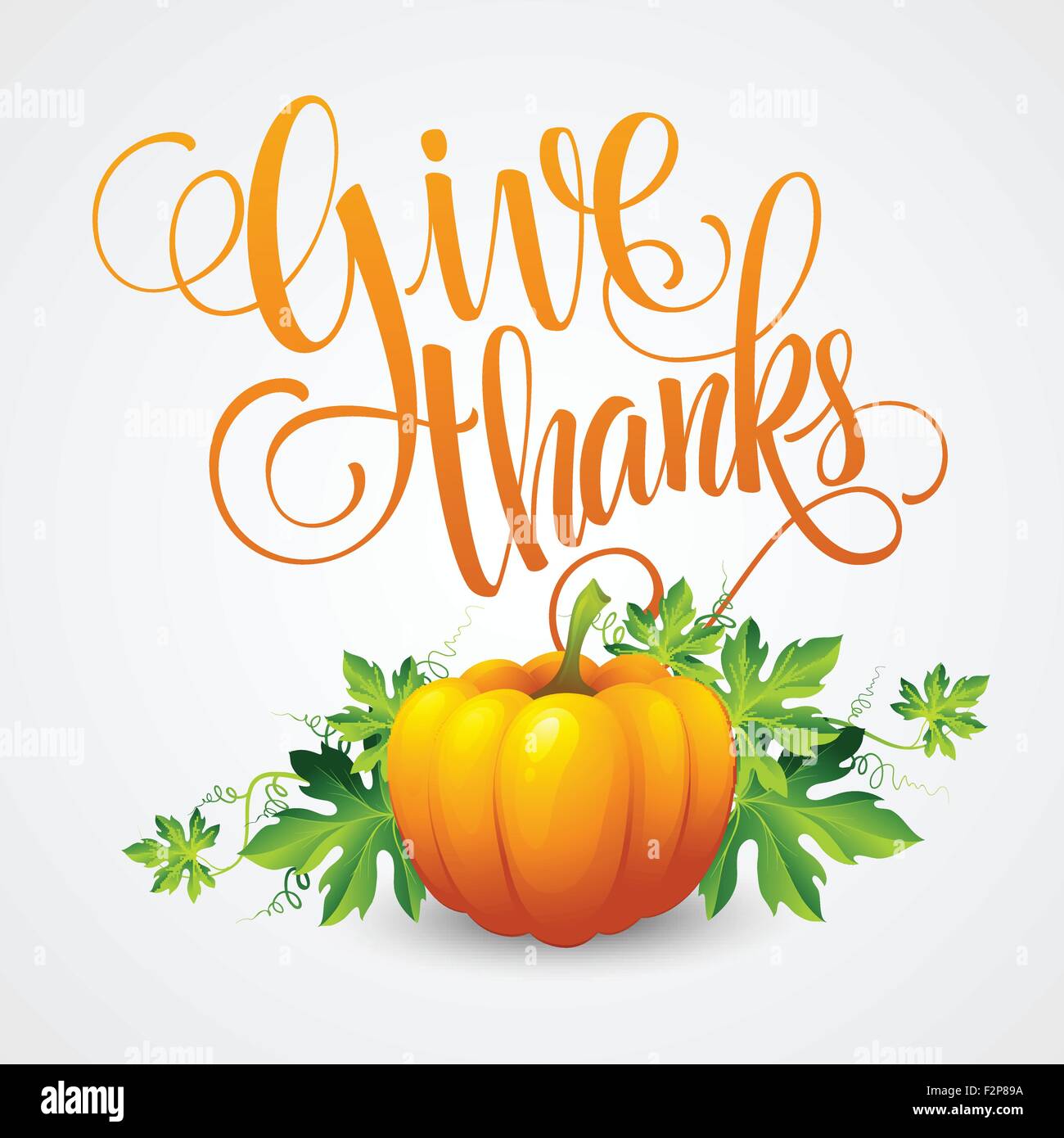 Vector pumpkin and leaves. Vector illustration Stock Vector Image & Art ...