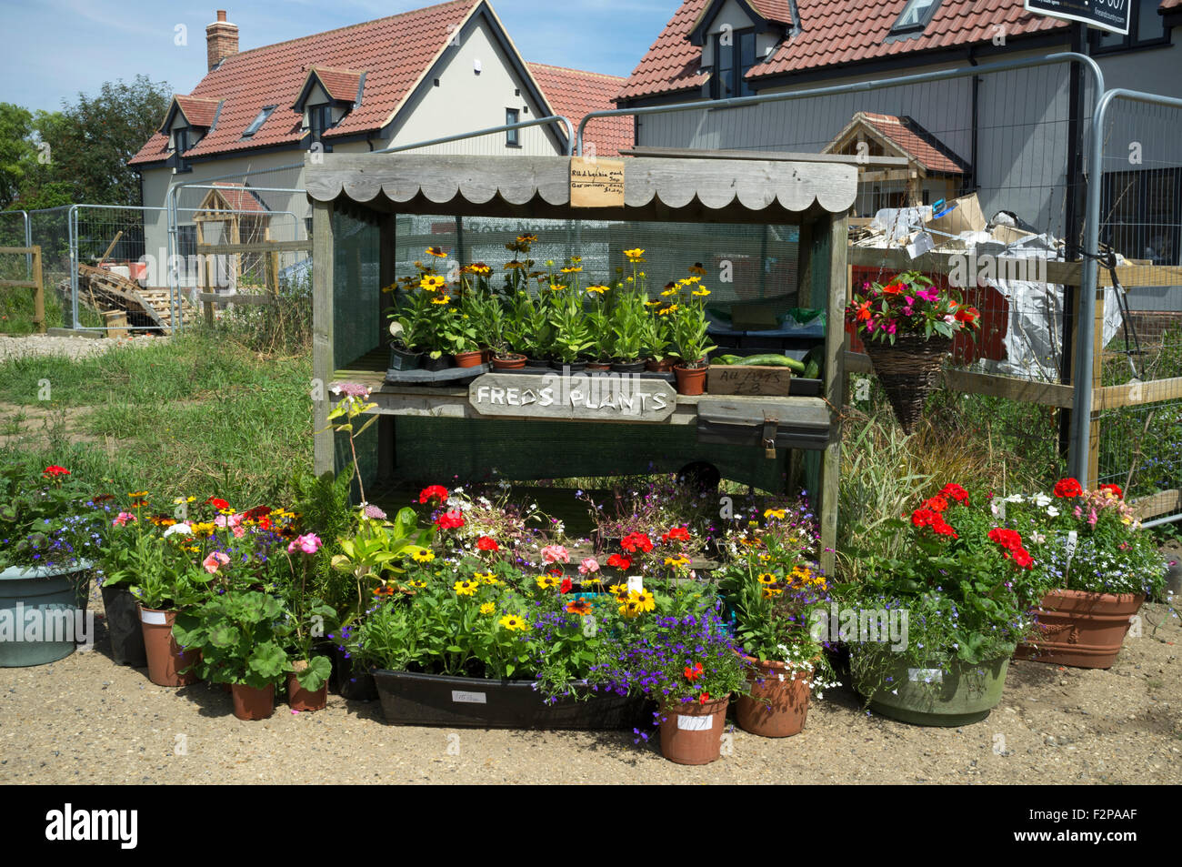 Roadside stall plants High Resolution Stock Photography and Images - Alamy