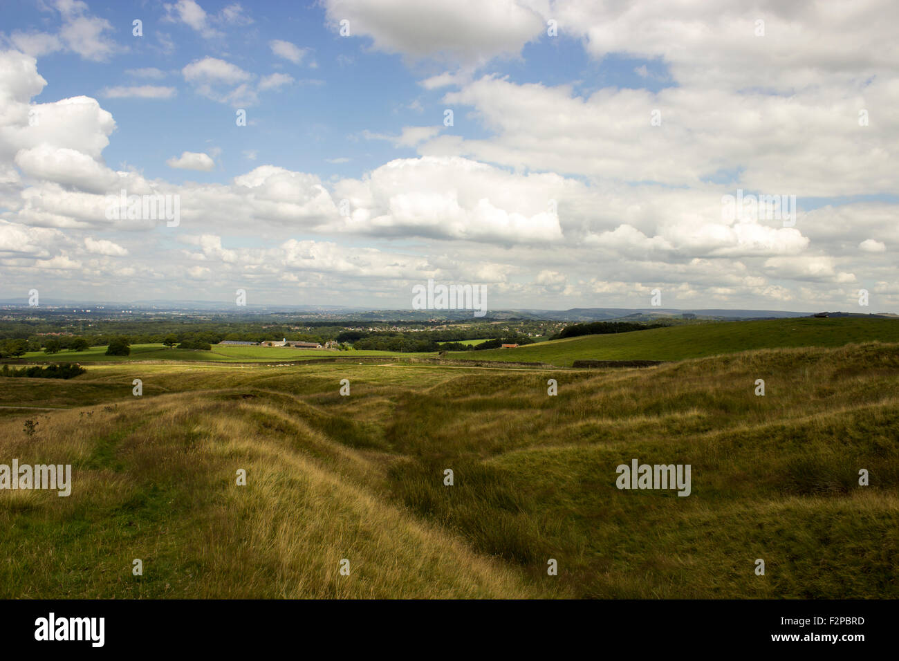 Rolling green fields. Trees span the landscape with a cloudy blue sky ...