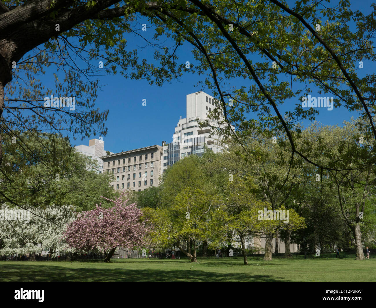 Springtime on  the East Green, Central Park, NYC Stock Photo