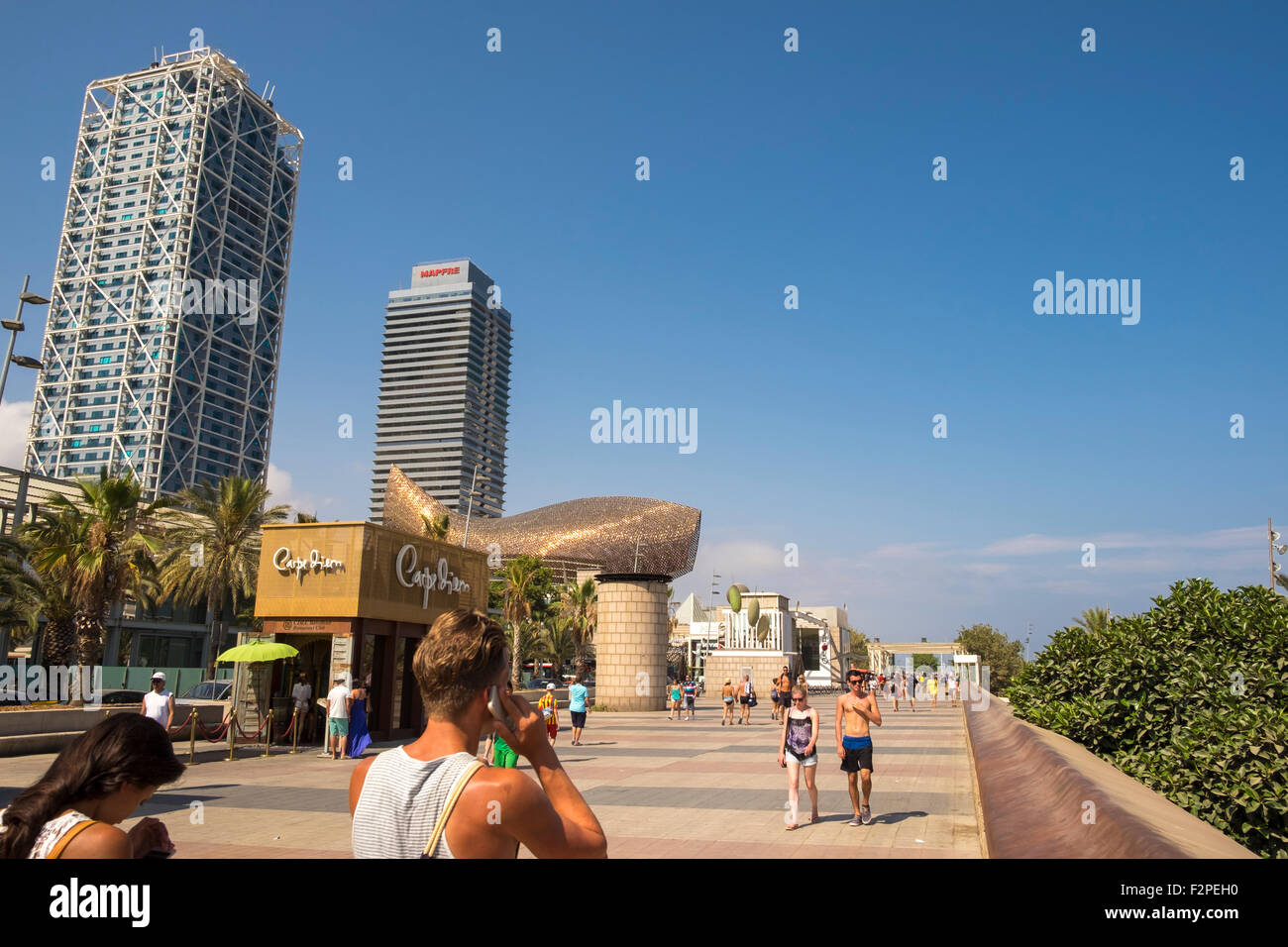 Peix Fish sculpture by Frank O Gehry at Port Olímpic, Barcelona