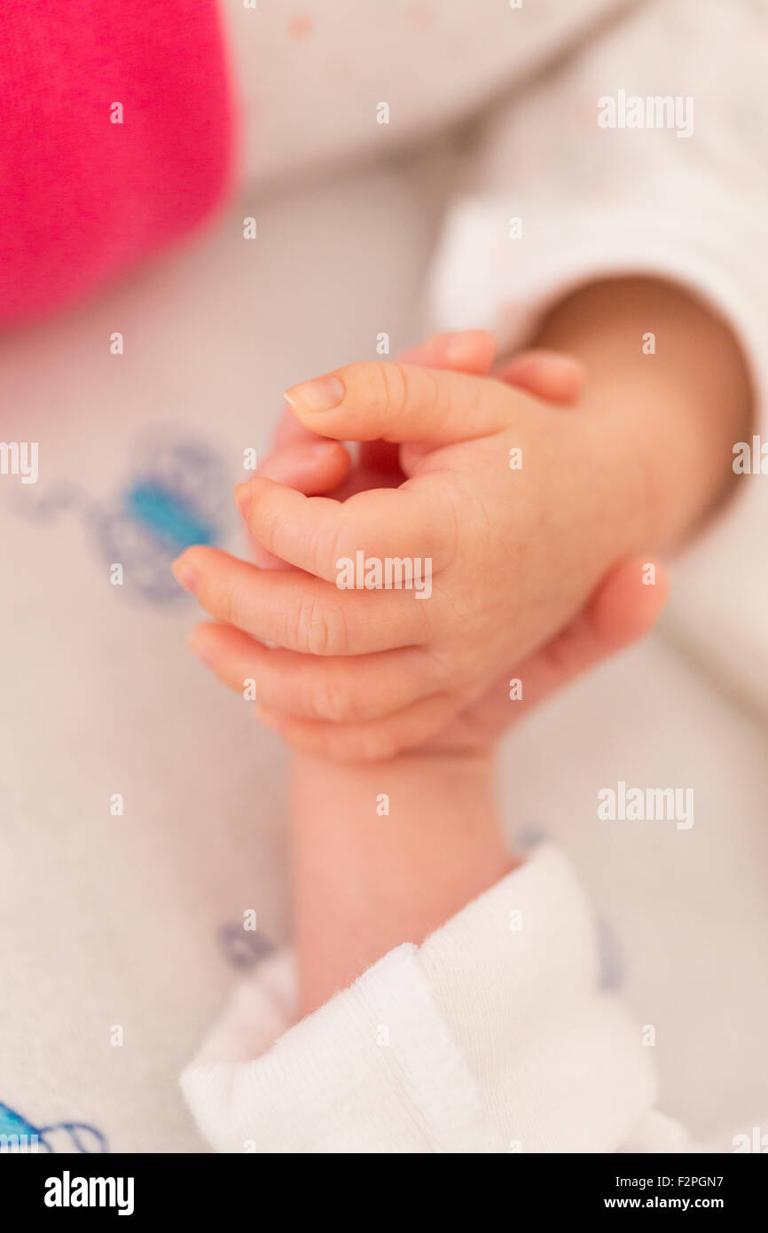 Newborn twins sleeping hand in hand hires stock photography and images Alamy