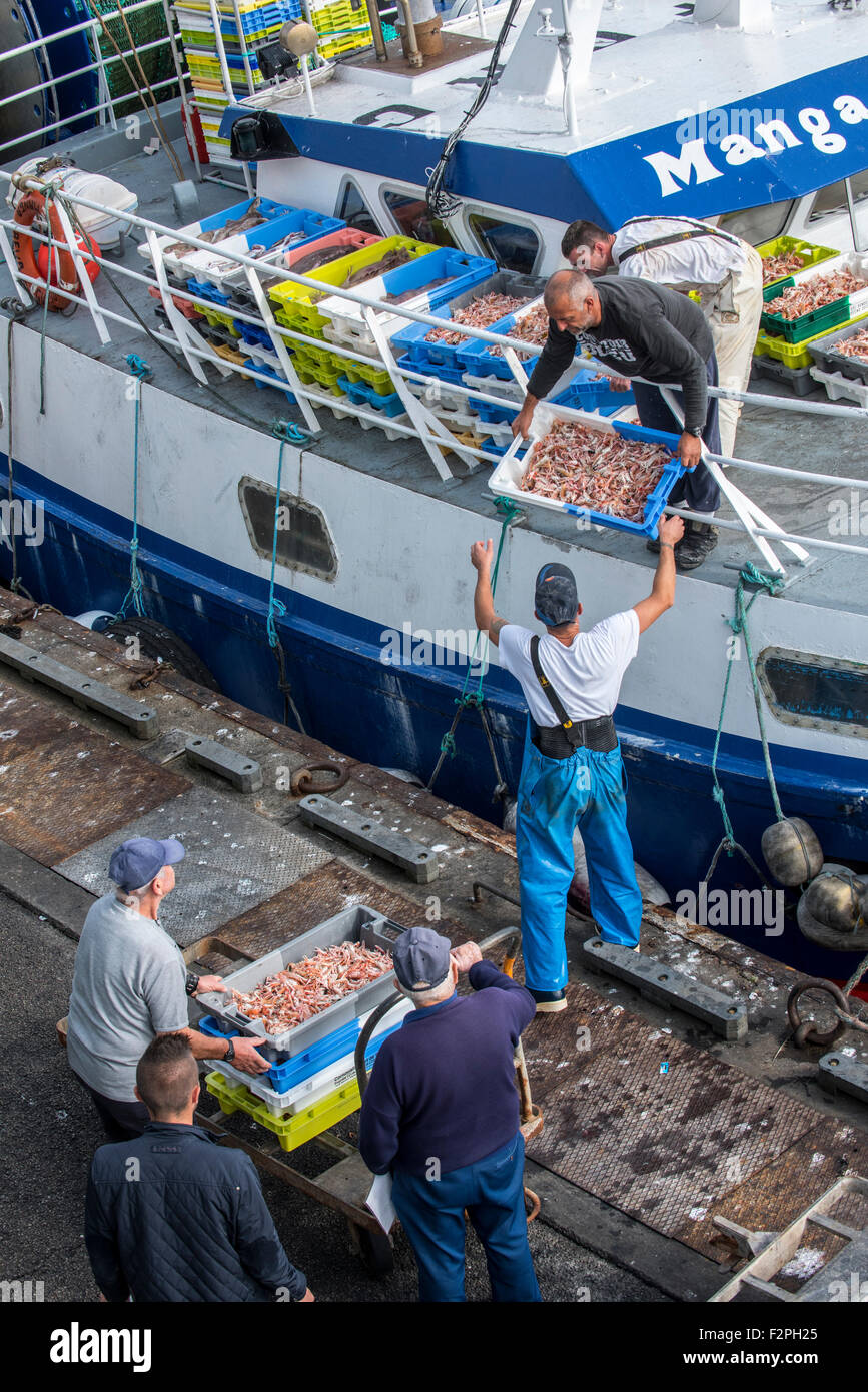 Fishermen on board of trawler fishing boat unloading catch along quay of the fish auction market, Brittany, France Stock Photo
