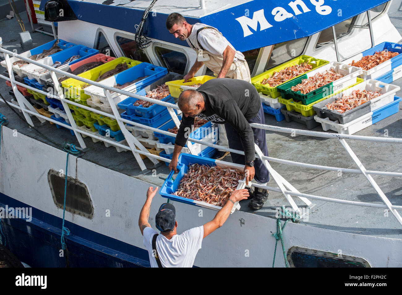 Fishermen on board of trawler fishing boat unloading catch along quay of the fish auction market, Brittany, France Stock Photo