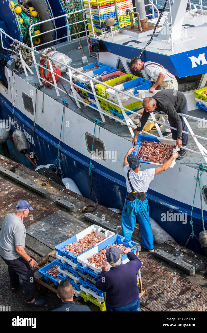 Fishermen on board of trawler fishing boat unloading catch along quay
